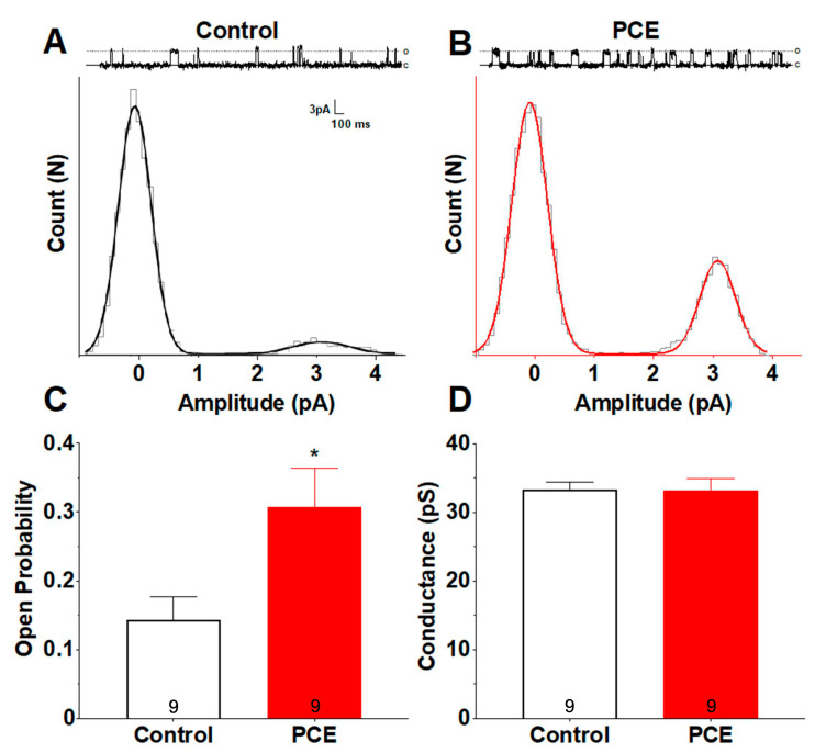 PCE alters single-channel properties of hippocampal synaptosomal NMDARs. Single-channel currents were isolated in the presence of 3 μM glutamate and 1 μM glycine, as well as 1 μM TTX, 2 μM TEA, 10 μM DNQX, 10 μM UBP302, and 50 μM picrotoxin to block sodium, potassium, AMPA, kainate, and GABAA ion channels, respectively. Voltage was clamped to resolve channel openings without compromising artificial lipid bilayer integrity (average ±65 mV; representative traces +80 mV). (A,B) Amplitude histogram fits and their respective traces from single NMDARs of control and PCE animals. Upward deflections in the current traces represent channel openings. Histogram peaks correspond to primary closed and open states of each receptor, 0 pA and 3 pA, respectively. The difference in open probability is demonstrated by both the greater number of channel openings within the PCE trace compared to control, as well as the larger AUC corresponding to the primary open amplitude of the PCE amplitude histogram. (C) Comparison of mean open probabilities between control and PCE revealed an increase in PCE animals. (D) Comparison of conductance from isolated control and PCE NMDARs indicated no differences. Symbols represent means ± SEM from n = 9 recordings, n = 5 receptors, and n = 3 animals from the control and PCE groups, respectively. * indicates significant difference in control vs. PCE; * p < 0.05.