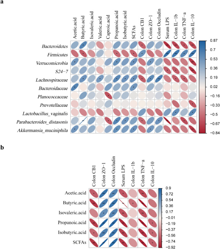 The relationship between intestinal flora and physiological indexes. a Heat map analysis showed the correlation between intestinal flora and physiological indexes. b The relationship between SCFA and cytokines. The depth of the color indicates the strength of the correlation: red indicates a positive correlation, blue indicates a negative correlation, and white indicates no correlation. *P < 0.05, **P < 0.01