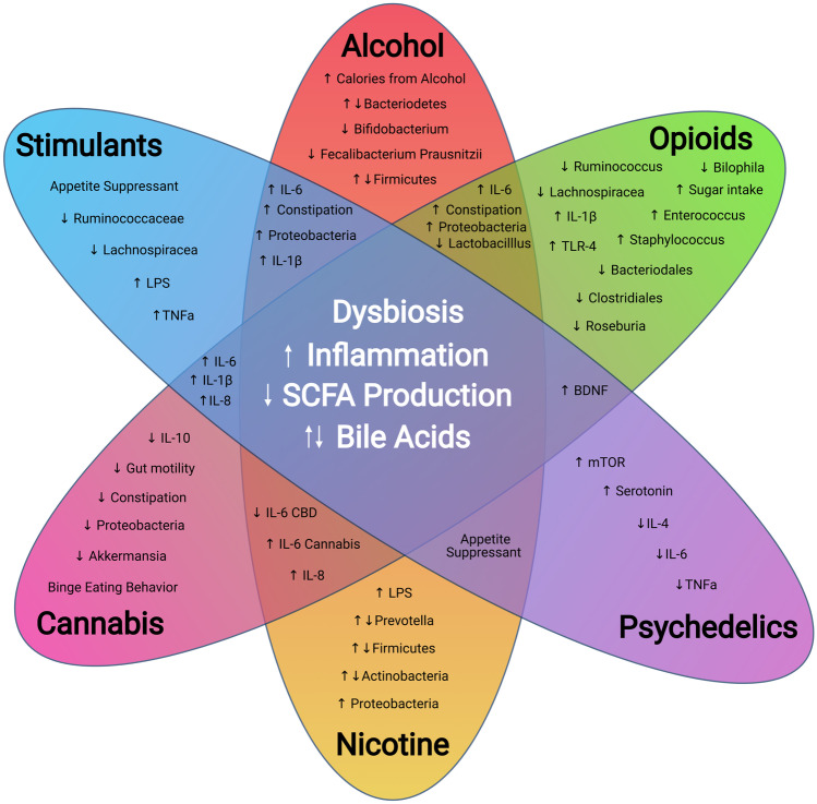 Microbiome, Immune, and Metabolite Alterations Following Drug Exposure. This diagram highlights the most prominent factors associated with the microbiome and drugs of abuse. Dysbiosis, increased inflammation and inflammatory microbes, a decrease in SCFA producing bacteria and SCFA production, along with bile acid dysregulation are shared among the assessed drugs. Constipation occurs among stimulants, alcohol, and opioids. Upregulation of IL-6 is conserved among almost all drugs except for cannabis and psychedelics. Appetite suppression, increased binge eating, and/or shifts in caloric sources are a common theme among all drugs surveyed. Despite varying mechanisms of action, drugs of abuse contribute to alteration of the microbiome that result in downstream immunological and metabolic shifts that in turn exacerbate drug related comorbidities and drug taking behavior. The microbiome remains a largely uncharted landscape for the development and discovery of novel therapies and biomarkers for substance use disorders. Abbreviations: BDNF (brain derived neurotrophic factor), CBD (cannabidiol), LPS (lipopolysaccharide), IL-4 (interleukin 4), IL-6 (interleukin-6), IL-8 (interleukin-8), IL-1β (interleukin 1β), mTOR (mechanistic target of rapamycin), TNF⍺ (Tumor necrosis factor ⍺), TLR-4 (toll-like receptor-4), SCFA (short-chain fatty acid)