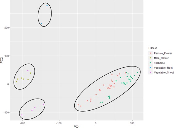 PCA plot of various tissue types included in the Cannbio assembly based on their normalised read count data.