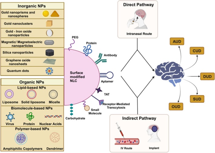 Schematic representation of nanoparticle‐based targeted drug delivery for SUD treatment.