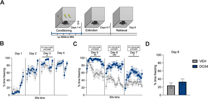Pharmacological inhibition of DAGL during conditioning enhances fear learning and impairs within-session extinction learning in male mice. (A) Schematic diagram of the experimental paradigm. (B) Percentage of time spent freezing during the acquisition of contextual fear when DO34 (50 mg/kg) was injected IP 2 h before each session. (C) Percentage of time spent freezing during extinction of contextual fear in the absence of drug treatment. (D) Percentage of time spent freezing during retrieval session. All values are presented as mean ± SEM (n=12–13 male mice per condition)