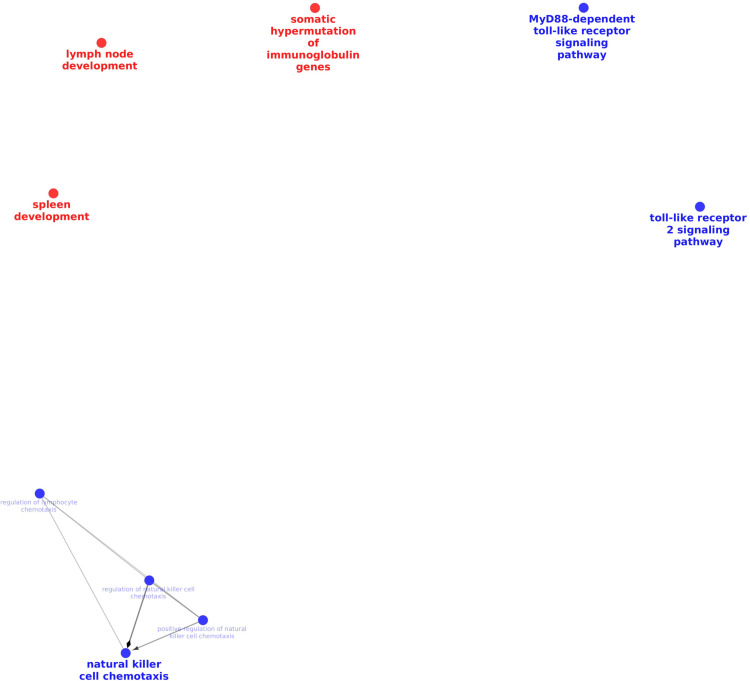 Result of network analysis of two clusters of co-expressed genes in mediastinal lymph node.