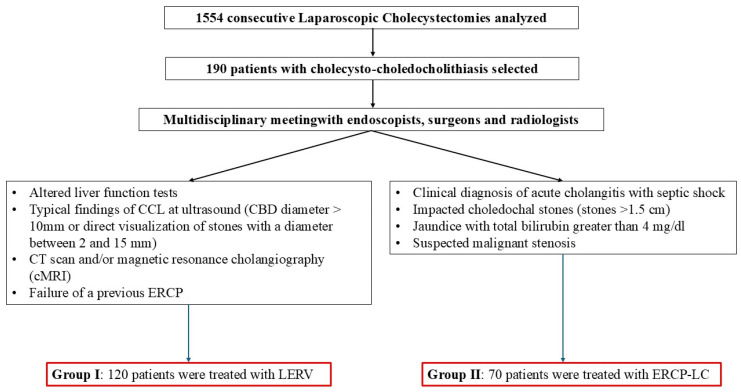 Diagnostic and therapeutic flowchart.