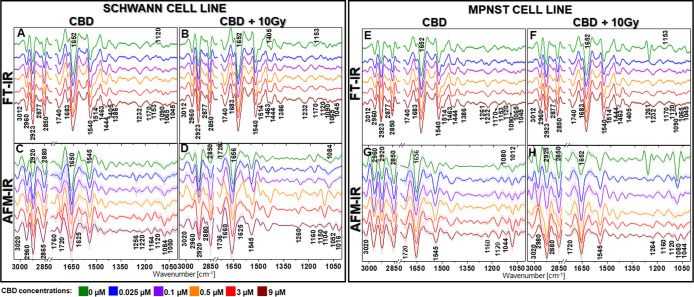 Correlation of mean second derivative spectra collected for Schwann and MPNST cell lines incubated with CBD and CBD with 10 Gy X-ray exposure dose: for conventional FT-IR (A,B,E,F) and AFM-IR system (C,D,G,H). Shading denotes standard deviation. The bands’ assignment is given in Table S2 (Supporting Information).