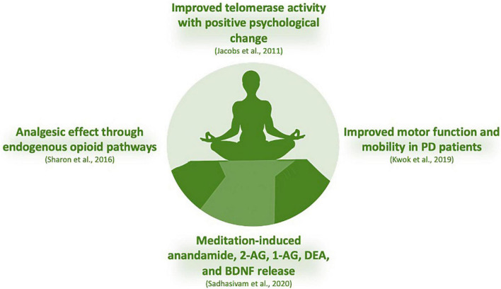 Regular mindfulness practice has consequences on physiological and psychological functioning with performance outcomes in sports, improving sleep quality and work stress. Data on regular yoga users (transcendental meditation) faced modest average reductions in blood pressure. Depression or anxiety have also been alternatively treated with non-conventional interventions, including exercise, yoga, and meditation. In addition, patients with mild-to-moderate Parkinson’s disease, mindfulness yoga has been shown to be effective in improving motor dysfunction and mobility. An experimental study conducted on adults before and after the 4-day Isha Yoga Bhava Spandana Program evaluated AEA, 2-AG, 1-arachidonoylglycerol (1-AG), DEA, oleoylethanolamide (OLA), and BDNF on anxiety and depression through psychological scales. Authors reported changes in major eCBs levels, with increase in AEA, 2-AG, 1-AG, DEA, and BDNF after meditation, suggesting a participation for these biomarkers in the underlying mechanism of meditation (Sadhasivam et al., 2020). Indeed, increased BDNF levels has been linked in meditative practices and brain health in a 3-month yoga and meditation retreat assessed with psychometric measures, circadian salivary cortisol levels, and pro- and anti-inflammatory cytokines (Cahn et al., 2017). In addition, a 3-month meditation retreat has been evaluated on telomerase activity and the experience of stress, with participants controlled in concentrative meditation techniques and collection of peripheral blood mononuclear cell samples for telomerase activity. Authors reported a clear link between meditation and positive psychological change with telomerase activity (Jacobs et al., 2011).