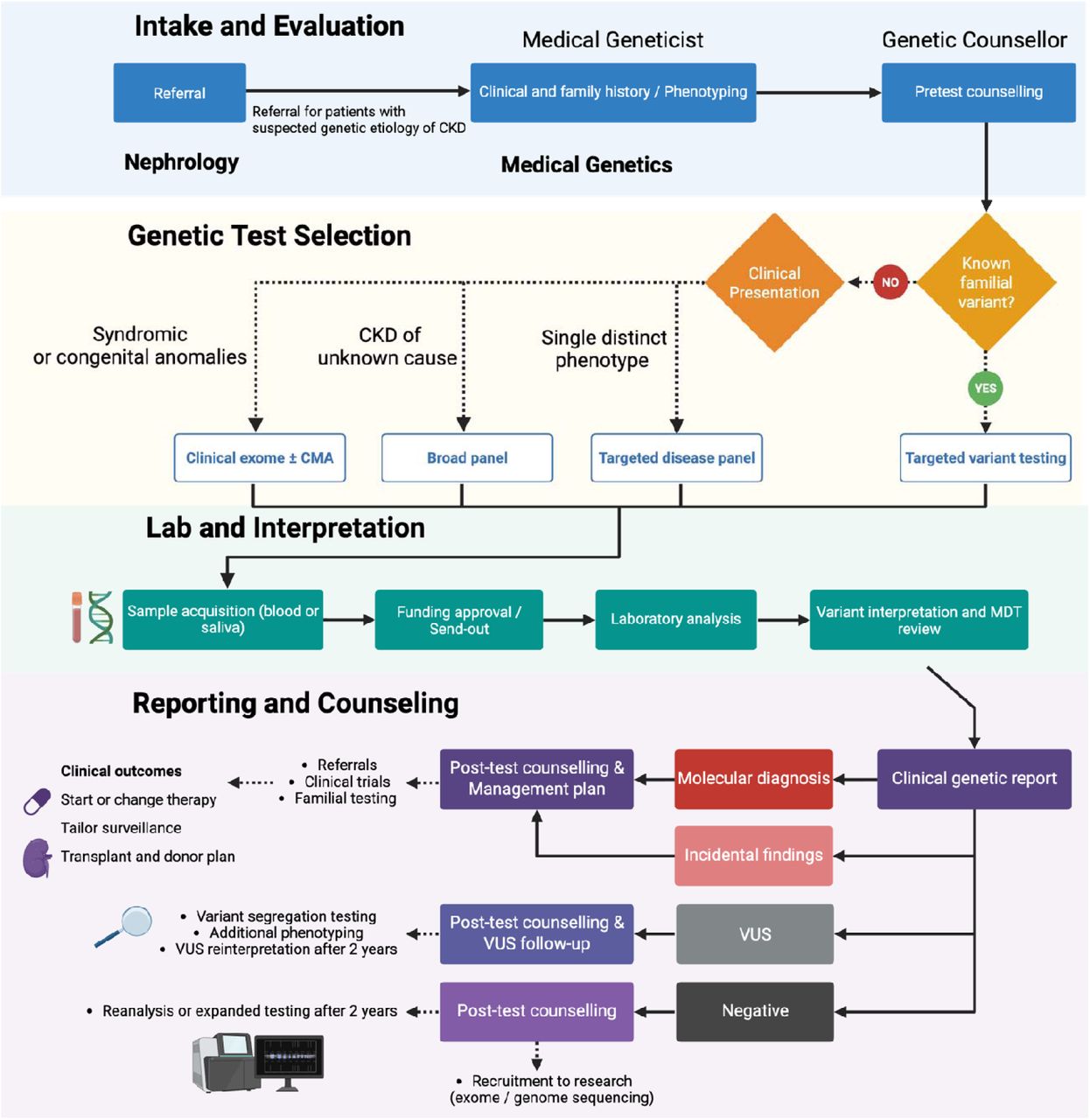 Renal genetics clinic workflow.The diagram shows referral and triage, medical genetics assessment and consent, phenotype-guided test selection, and sample collection with funding approval, followed by result-driven follow-up. Outcome pathways are depicted for positive, negative, variant of uncertain significance, and secondary findings, with corresponding actions including management updates, cascade testing, segregation studies, planned reinterpretation or reanalysis at 2 to 3 years, and research referral.