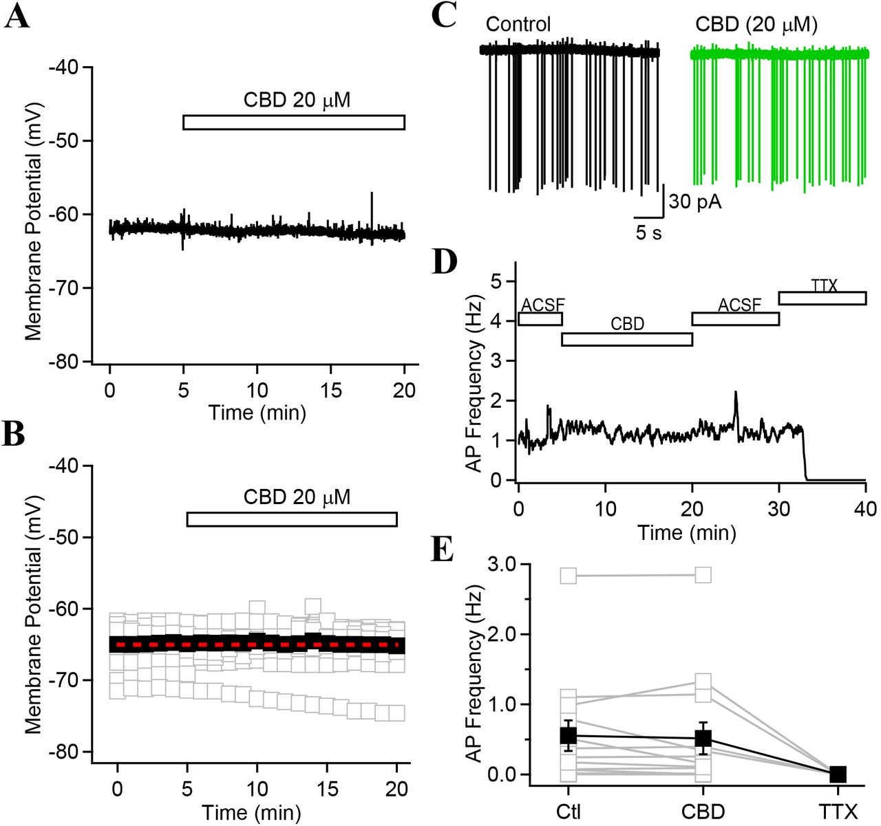 CBD has no effect on the resting membrane potential or the spontaneous firing of CA1-PYRs.A, B, Whole-cell recordings showing that CBD has no effect on the resting membrane potential of CA1-PYRs. C, Cell-attached recordings of spontaneous AP firing in a CA1-PYR in control (black) and following the continuous application of CBD (green) for 20 minutes. D, 40 minutes recording from the examples shown above, in which the spontaneous firing frequency was monitored during CBD application and ACSF wash. No effect of CBD was observed. TTX abolished the inward currents in recorded in cell-attached configuration, confirming that they were APs. E, Summary graph showing no change in the spontaneous AP frequency for 13 CA1-PYRs CBD application. 4 neurons were subsequently treated with TTX, which fully blocked all events. Data points show mean ± SEM.