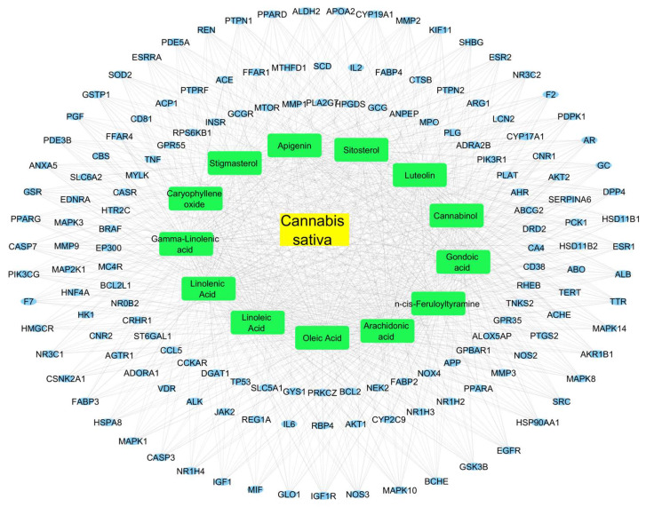 C. sativa target–compound network in the treatment of T2D. In the center, in yellow rectangles, is C. sativa; then, in green rectangles are the plant’s bioactive compounds; at the end, in blue circles, are the genes associated with T2D and the targets of the bioactive compounds.