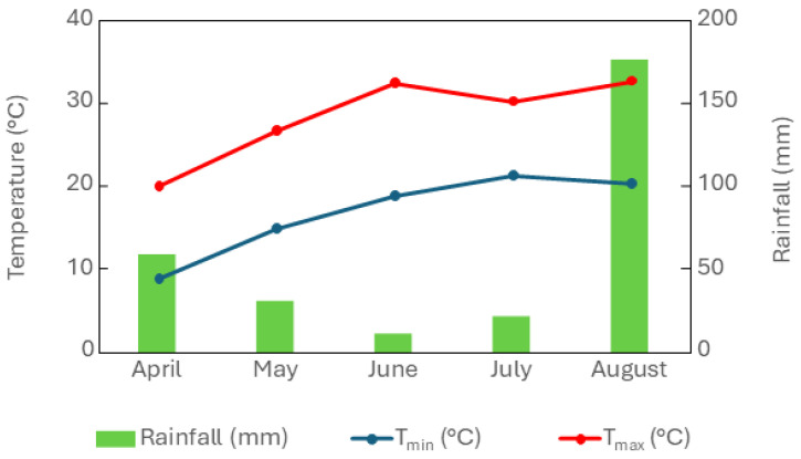 Weather parameters: rainfall (mm), minimum temperature (Tmin, °C), and maximum temperature (Tmax, °C) during the cropping season 2022.