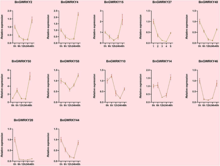 The relative expression levels of selected WRKY genes in ramie root at different periods under Cd+2 treatment (0, 6, 12, 24, 48 h). The error bar represents the standard deviation of the three biological duplicates.