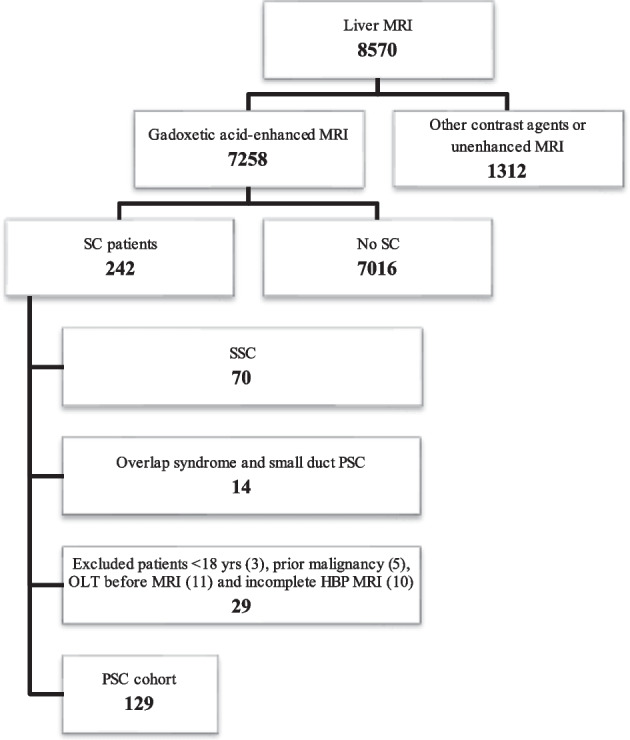 Flowchart. Between 2007 and 2022, 7258 patients underwent a standardized 3.0-Tesla gadoxetic acid-enhanced MRI of the liver. Of these, 242 had liver pathology other than sclerosing cholangitis (SC). Seventy patients were excluded for suspicion of secondary SC. Of the remaining 172 patients who met the criteria for primary sclerosing cholangitis (PSC), 14 had concurrent autoimmune hepatitis (i.e., overlap syndrome) and/or small duct PSC. We excluded another 29 PSC patients for the following: three were under 18 years of age, five had prior malignancy, 10 had an incomplete HBP MRI, and 11 had had previous OLT. Therefore, the final study cohort consisted of 129 patients
