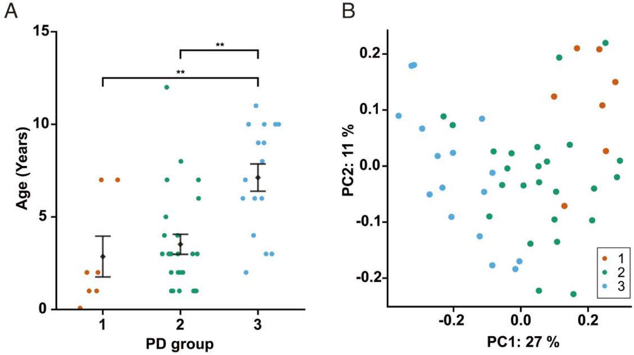 Profiling of PD grade and oral microbiome in dogs.(A) Dot plot illustrating the correlation between age and periodontal disease group. Seven, 25, and 16 dogs were classified into Group 1, Group 2, and Group 3, respectively. Statistical tests were conducted for each group and age, and <p = 0.01 was expressed as **. (B) Unweighted UniFrac distances for beta diversity analysis.