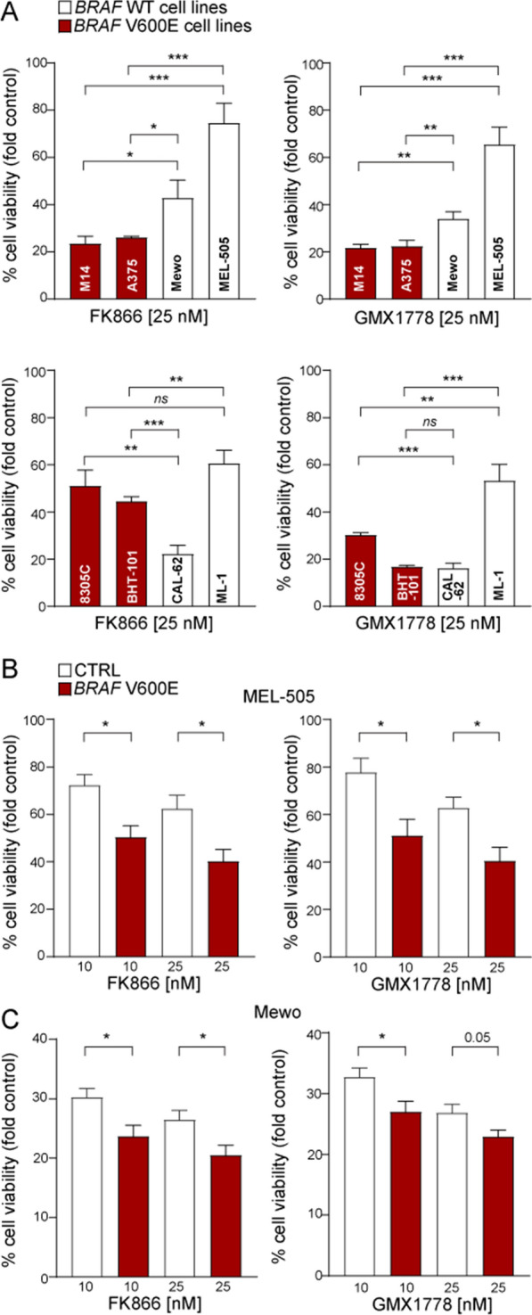 Response to NAMPT inhibition in MM and THCA cell lines according to BRAF mutations. A Short-term proliferation assay comparing sensitivity to NAMPTi (FK866 and GMX1778 at 25 nM, 72 h of treatment) of MM BRAF-mutated vs. WT cell lines (upper graphs) and THCA BRAF-mutated vs. WT cell lines (lower graphs). Data represent the average and SEM of at least three biological replicates. Unpaired t test was used to calculate the statistical difference of sensitivity between BRAF WT vs. mutated cell lines. B, C Proliferation assay comparing sensitivity to NAMPTi in MEL-505 (B) and Mewo (C) infected with a CTRL or BRAF V600E construct. Data represent the average and SEM of at least three biological replicates. Significance was represented as: *p ≤ 0.05, **p ≤ 0.01, ***p ≤ 0.001, ****p ≤ 0.0001