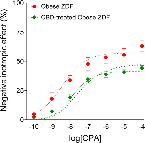 The direct negative inotropic effect of CPA in isolated and paced atria of obese type Zucker Diabetic Fatty (ZDF) rats, without or with a previous in vivo cannabidiol (CBD) treatment. The x-axis denotes the common logarithm of the molar CPA concentrations (in the bathing medium), and the y-axis indicates the effect (as a percentage decrease in the initial contractile force). The symbols show the responses to CPA averaged within the groups (±SEM). The thinner and the thicker dotted curves denote the model of the receptorial responsiveness method (RRM) (Eq. 2) fitted in a global plus robust manner and in an individual plus ordinary way, respectively. CPA: N6-cyclopentyladenosine.