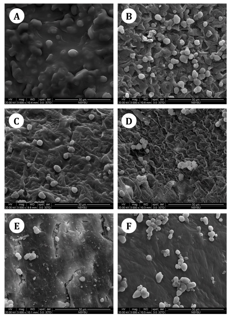 Scanning electron microscopy images of (A) crude hemp nut and hemp nut after (B) MAE, (C) HRE, (D) SE, (E) SFE, and (F) UAE.