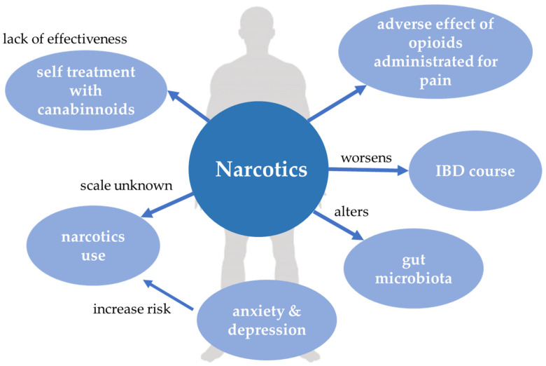 Narcotics and inflammatory bowel disease. IBD, inflammatory bowel disease.