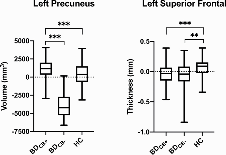 Graphs for vertex-wise analyses. There was a significant group effect in the left precuneus (P < .001) and left superior frontal gryus (P < .001). Post-hoc analyses revealed volume in the left precuneus was larger in BDCB+ relative to BDCB− and HC, whereas thickness in the left superior frontal gyrus was smaller in BDCB+ and BDCB− relative to HC.
