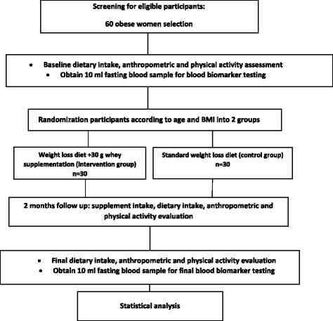 Protocol flow diagram; We will conduct a 2 months’ open label, parallel-group, randomized controlled trial to determine the effect of whey protein supplementation on levels of endocannabinoids, glycemic and lipid profile, inflammatory factors, adipocytokines and body composition in 60 premenopausal obese women on a weight-loss diet