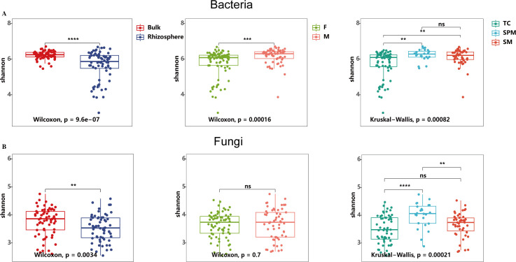 Six box plots display Shannon diversity indices for bacteria and fungi across different conditions. The top row shows bacteria, with comparisons between Bulk and Rhizosphere (p < 0.000001), F and M (p = 0.00016), and TC, SPM, SM (p = 0.00082). The bottom row shows fungi, with comparisons between Bulk and Rhizosphere (p = 0.0034), F and M (p = 0.7), and TC, SPM, SM (p = 0.00021). Significance levels are marked, with some not significant.