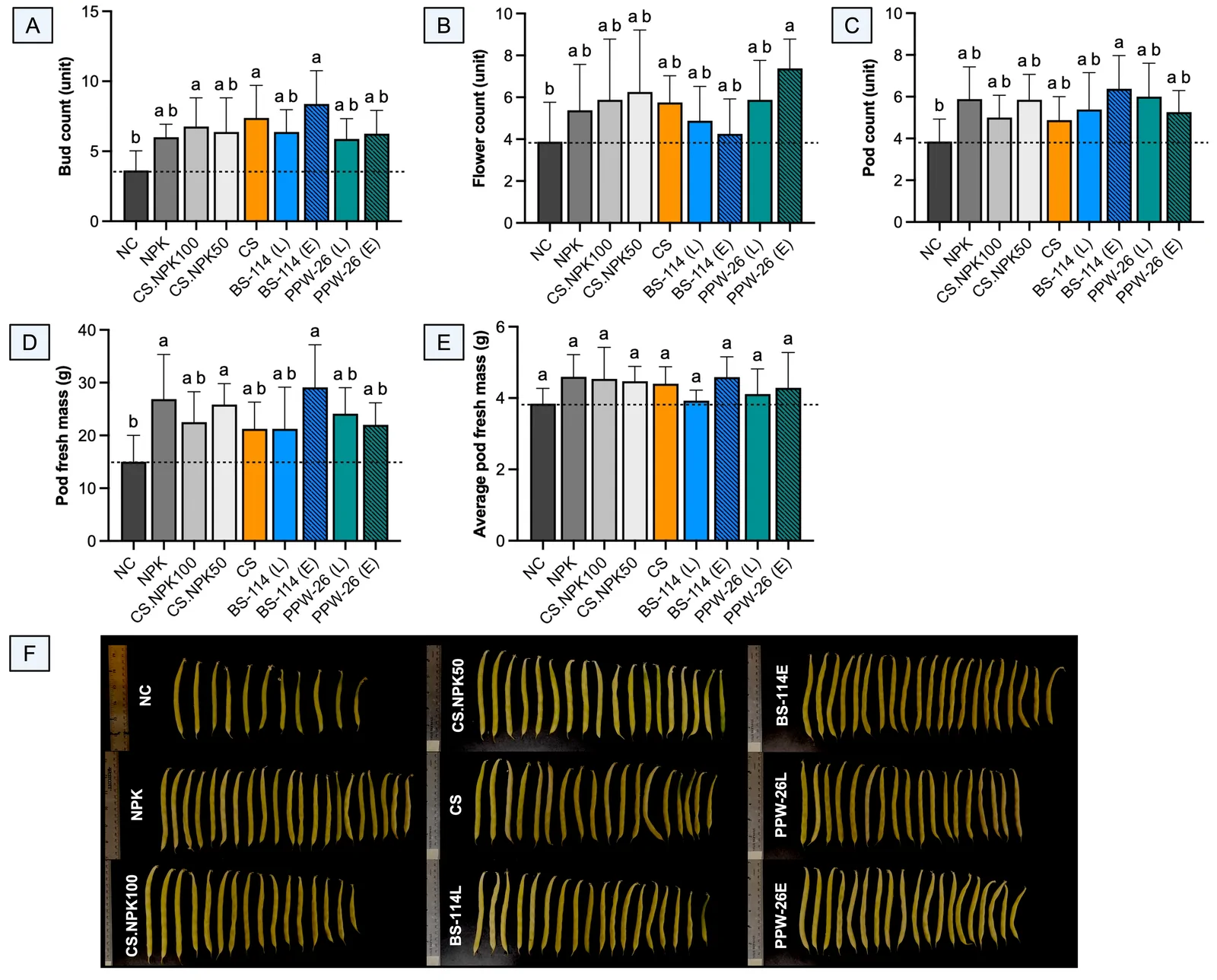 Panel of five bar charts labeled A to E shows statistical comparisons of bud count, flower count, pod count, pod fresh mass, and average pod fresh mass in different experimental groups. Bars are color-coded with error bars and annotated with lowercase letters indicating significance. Panel F displays rows of yellow seed pods organized by treatment group labels such as NC, NPK, various CS and bioinoculant treatments. Each treatment group in panel F visually demonstrates differences in pod number and size.