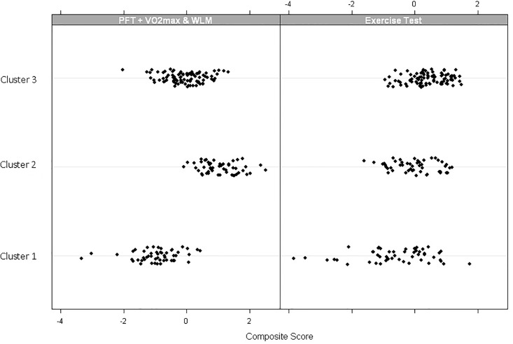 Comparison of factors between clusters.Cluster 1 had significantly lower composite scores than Clusters 2 or 3 (p<0.0001). Cluster 3 had significantly lower PFT, VO2m + WLM composites than Cluster 2 (p<0.0001).