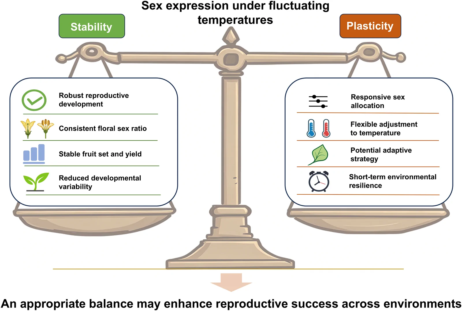 Illustration of a balance scale comparing stability and plasticity in sex expression under fluctuating temperatures. Stability side lists robust reproductive development, consistent floral sex ratio, stable fruit set and yield, and reduced developmental variability. Plasticity side lists responsive sex allocation, flexible adjustment to temperature, potential adaptive strategy, and short-term environmental resilience. Caption suggests an appropriate balance may enhance reproductive success across environments.