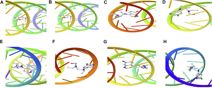 3D Interaction of hydroxychloroquine with Initiation and Termination Sequence of the Viral Proteins. A = Nucleocapsid Phosphoprotein Translation Initiation Site; B = Envelope Protein Translation Initiation Site; C = Envelope Protein Translation Termination Site; D = Nucleocapsid Phosphoprotein Translation Termination Site; E = ORF1ab Translation Initiation Site; F = ORF1ab Translation Termination Site; G = Surface Glycoprotein Translation Termination Site; H = Surface Glycoprotein Translation Initiation Site.