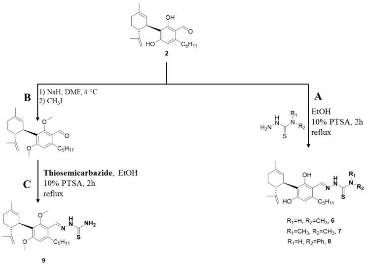 Synthesis pathways of derivatives 5–9. Reagents and conditions: (A) p-toluene sulfonic acid (PTSA), EtOH, reflux, thiosemicarbazide derivatives (4-methyl-3-thiosemicarbazide (for 6), 4,4-dimethyl-3-thiosemicarbazide (for 7), and 4-phenylthiosemicarbazide (for 8)), 2 h. (B) (1) NaH, N,N-dimethylformamide (DMF), 4 °C. (2) iodomethane, RT, 3 h. (C) PTSA, EtOH, reflux, 2 h.