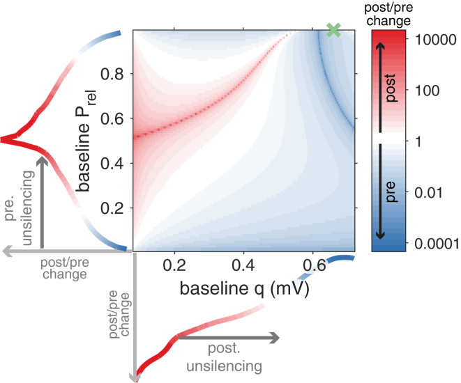 StatLTSP Explains Synaptic State Dependence of Expression LociFramework predicts a specific post/pre expression of synaptic weight changes for a given combination of baseline Prel and q, consistent with experimental findings (see main text; cf. shortest path model in Figure S7). Bottom: post/pre ratio predicted by statLTSP for different baseline values of q. Postsynaptically silent synapses are represented by minimal baseline q. Left: post/pre ratio predicted by statLTSP for different baseline values of Prel. Presynaptically silent synapses are represented by minimal baseline Prel. Green cross represents the bound estimated from hippocampal data (cf.Figure 2A).