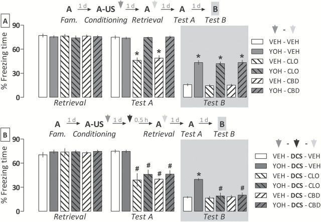 Comparative effects of clonidine (CLO; 0.3mg/kg) and cannabidiol (CBD; 10mg/kg) given alone or associated with D-cycloserine (DCS; 15mg/kg) on the reconsolidation of a fear memory consolidated under the influence of yohimbine (YOH; 1.0mg/kg). (A) In comparison with the control group (VEH-VEH), both VEH-CLO and VEH-CBD groups expressed less fear when re-exposed to the paired context (Test A). However, the disruptive effect of CLO and CBD on memory reconsolidation was no longer observed in YOH-treated animals, which also expressed fear generalization to an unpaired context (Test B). (B) Administrating DCS 30min prior to memory retrieval allows the memory reconsolidation-disrupting effects of CLO and CBD and prevents the generalized fear expression in YOH-treated animals. Animals were subjected to Tests A and B undrugged. Schemes above graphs represent the experimental design of each one of the experiments. Arrowheads indicate the moments of drug administration. Bars represent the percentage of total time spent freezing. Values are expressed as mean ± SEM (n = 7–10/group). *p < 0.05 from the respective controls; #significant difference from the YOH-DCS-VEH group.