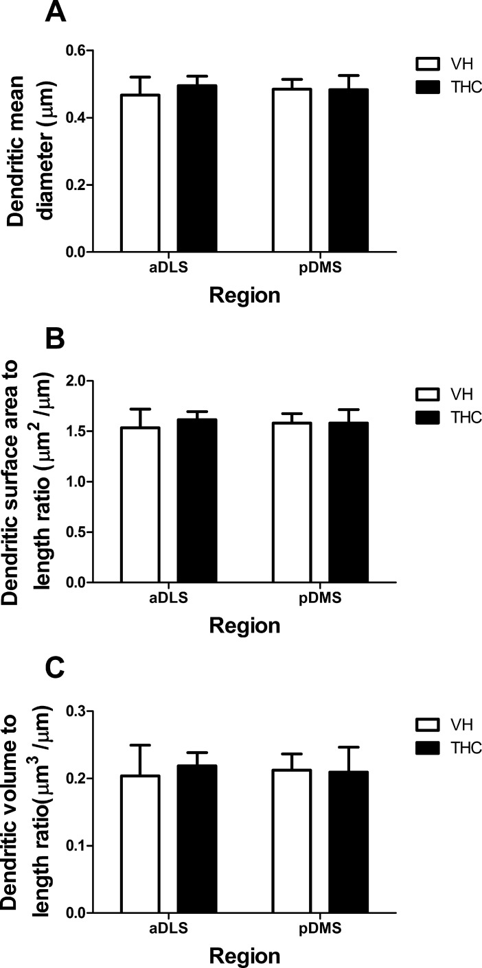 THC effects on dendritic size.Dendritic size parameters are depicted for VH- and THC-treated animals (n = 8 per group) in aDLS and pDMS MSNs: dendritic mean diameter (A), dendritic surface area to length ratio (B), and dendritic volume to length ratio (C). Data is presented as mean ± s.e.m.