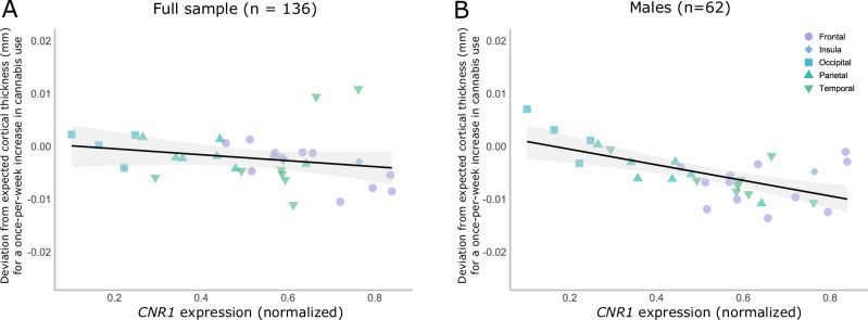 Spatial correlations of regional CNR1 gene expression with regional estimates for the effect of within-person escalation in cannabis use.Association between regional CNR1 gene expression and regional effects of within-person escalation of cannabis use on cortical thickness in (A) the full sample (n = 136), and B males only (n = 62). Expected cortical thickness refers to model-predicted cortical thickness. Models control for image quality, intracranial volume, age, region and alcohol use.