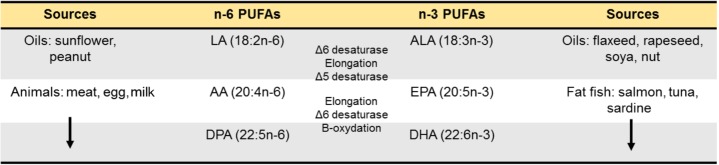 Long-chain PUFAs synthesis. Essential fatty acids precursors of n-6 and n-3 PUFAs are provided by food. Once in the livers, they are metabolized into long-chain PUFAs using a series of desaturations and elongation machinery. The newly synthetized long-chain n-6 PUFAs are AA (20:4n-6) and DPA (22:5n-6) and the long-chain n-3 PUFAs are DHA (22:6n-3) and DPA (22:5n-3).