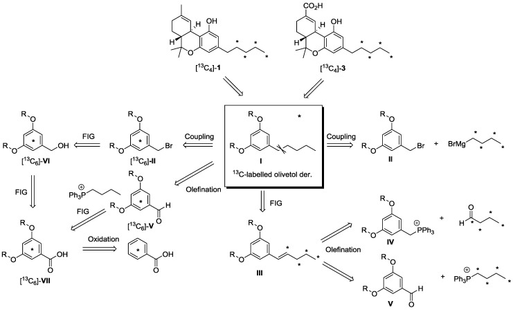 Retrosynthetic route to 13C-labeled olivetol derivatives.