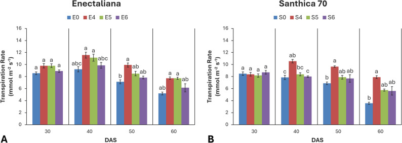 Transpiration rate of hemp cultivars under different topping levels