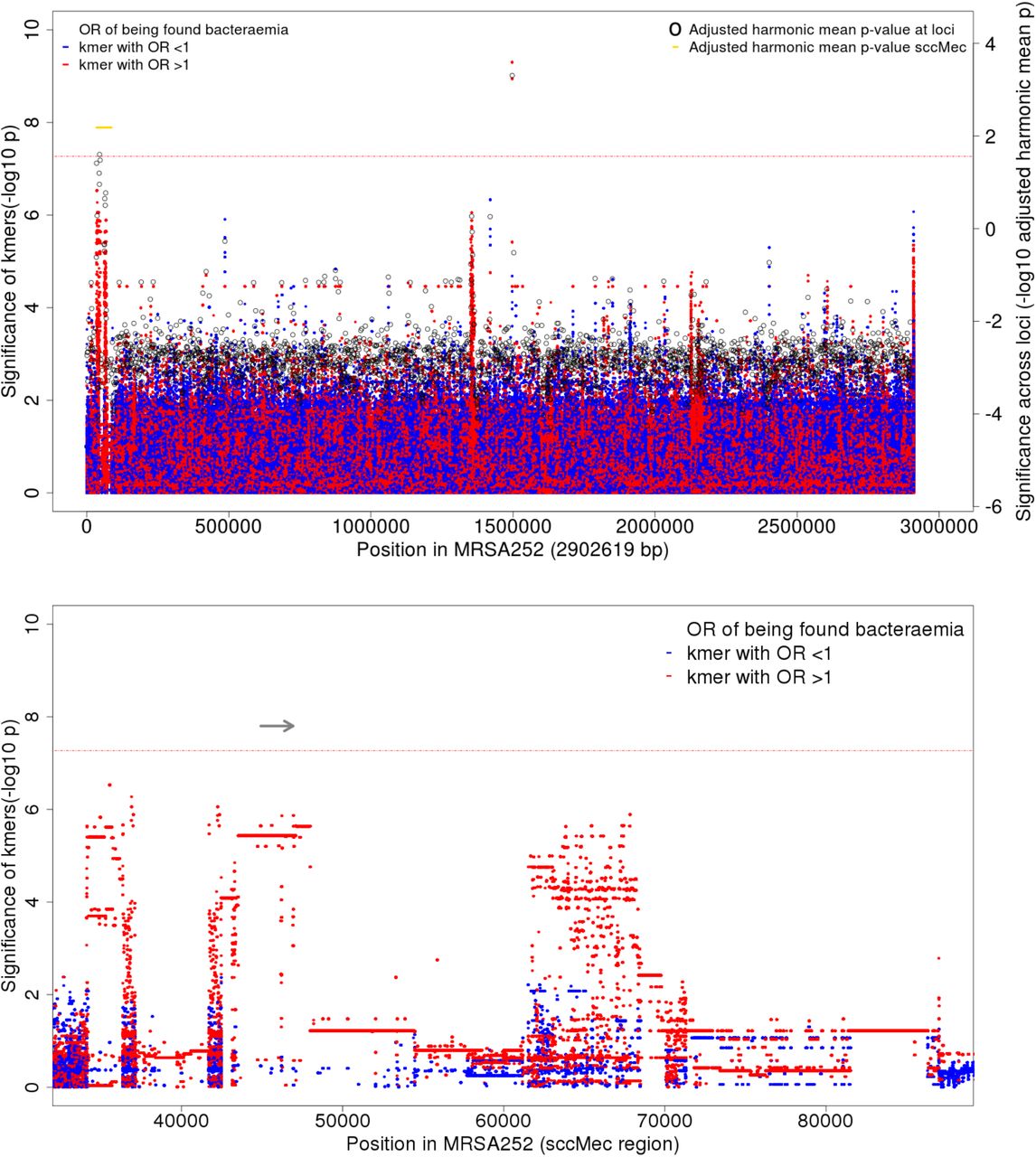 Association of kmers with S. aureus bacteraemia-vs-carriage, controlling for population structure and HA or CA origin.(A)Manhattan plot showing significance of association (-log10 p-value, left axis) for individual kmers (red, kmers with OR >1 of being found in bacteraemia-vs-carriage; blue, kmers with OR <1 of being found in bacteraemia-vs-carriage). Unmapped kmers are plotted at the end of the genome. Pooled evidence (adjusted harmonic mean p-value, right axis) across each CDS is shown by black open circles. Pooled evidence across SCCmec is shown in gold. A threshold of significance is plotted in a red horizontal line. For kmers this a Bonferroni-corrected threshold of significance, adjusted for the number of individual kmer patterns (10−7.2, left axis). For evidence across loci, the same family wide error rate of 0.05 (10−1.6, right axis) was applied by adjusting the p-values for the numbers of variants tested. (B) Kmers mapping to the region of staphylococcal chromosome cassette sccMec are shown in greater detail. The coding sequence of mecA (SAR0039) is marked by a horizontal grey arrow.