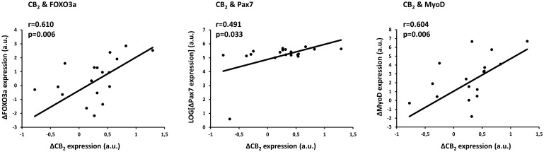Pearson (normal data) or Spearman (non-normal data) correlations between the change (Δ; Post–Pre RE) in CB2 expression and the change in forkhead box O 3a (FOXO3a), MyoD and Pax7 expression. Non-normal data are presented following 10log-transformation.