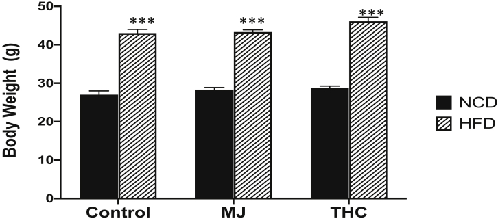 Animal body weights after 2 months of treatment. Control and experimental groups given HFD had a higher average body weight in grams (g) compared to NCD groups over 2 months. Control NCD vs HFD: 27.0 grams (g) ± 1 vs 43g ± 1; NCD + MJ vs HFD + MJ: 28.3 g ± 0.58 vs 43.3 g ± 0.58; HFD + THC vs NCD + THC: 28.7 g ± 0.58 vs 46g ± 1.