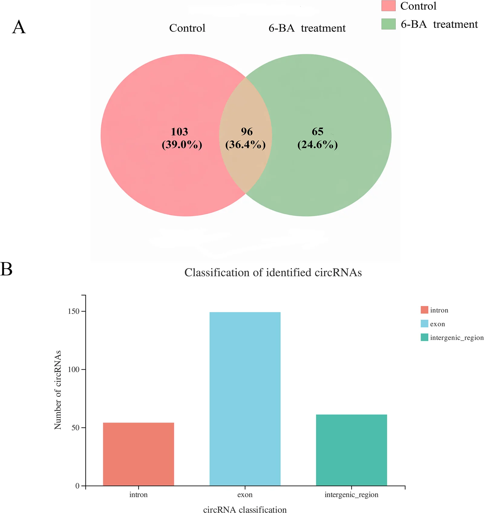 Venn diagram compares the number of identified circRNAs unique to control (one hundred three, thirty-nine percent, red), unique to 6-BA treatment (sixty-five, twenty-four point six percent, green), and shared by both (ninety-six, thirty-six point four percent, overlapping area). Bar graph below classifies identified circRNAs by genomic region: intron (red), exon (blue, highest count near one hundred fifty), and intergenic region (green, moderate count), with exon-derived circRNAs being most abundant.
