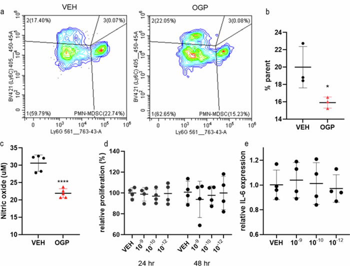 OGP diminishes MDSC differentiation and does not affect CT26 cell proliferation or inflammatory response in vitro.Primary murine bone marrow cells were cultured in CT26-conditioned media and L929-conditioned media to generate MDSCs. a Representative flow cytometry plots of PMN-MDSCs (lower right quadrant) frequency in vehicle control (VEH, left) and 10-12 M OGP (right) treated cells grown in media cocktail for 72 h b Relative frequency of PMN-MDSCs (Ly6GhiLy6Cint) expressed as percent of CD45+CD11b+ cells (% parent). Data is representative of three separate differentiation experiments with similar results. c Nitric oxide levels in the supernatant of cells grown in media cocktail for 72 h, treated with 10−12 M OGP, and stimulated with 100 ng/mL LPS for 48 h. d MTT assay of CT26 cells treated with OGP at the indicated concentrations (M) expressed as relative proliferation compared to VEH. e mRNA expression of IL-6 in CT26 cells after OGP treatment for 4 h. n ≥ 3 per group; Student’s t-test or One-way ANOVA, *p < 0.05, ****p < 0.0001.