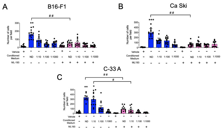 BMMCs migrate towards cancer cell-conditioned media in a GPR55 receptor-dependent fashion. Conditioned media from (A) the B16-F1 murine malignant melanoma cell line as well as (B) Ca Ski and (C) C-33 A human cervical cancer cell lines were collected and diluted as described in the Materials and Methods section. Boyden’s chamber chemotaxis experiments were performed utilizing BMMCs in the presence of vehicle or ML193 (100 nM). Data are presented as the mean ± SEM of at least four microscope fields observed with the 10X objective obtained from at least three independent experiments. One way ANOVA vs. vehicle (without ML193) values, * p < 0.05; ** p < 0.01; *** p < 0.001 vs. vehicle; # p < 0.05; ## p < 0.01 vs. ML193 non-treated groups. ND, non-diluted conditioned media. Blue and pink bars show values obtained in the absence or presence of the GPR55 antagonist ML-193, respectively.