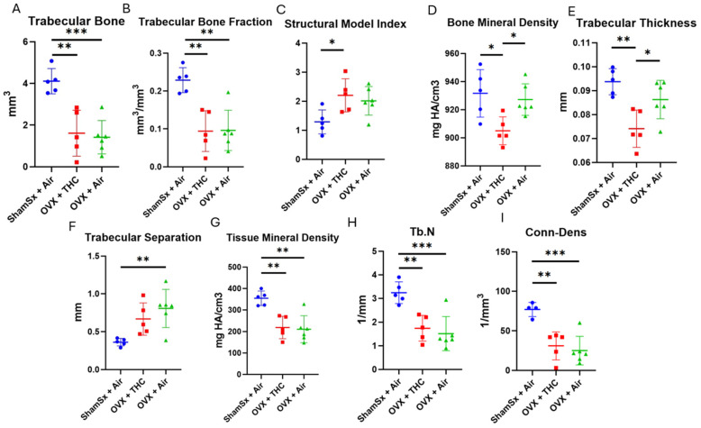 Trabecular microCT results. Dot plots (mean line + SD) showing trabecular microCT parameters from the proximal tibial metaphysis in ShamSx + Air, OVX + THC, and OVX +Air groups. Parametric results include (A) trabecular bone volume; (B) bone volume fraction; (C) structural model index; (D) volumetric bone mineral density; (E) trabecular thickness; (F) trabecular separation; (G) tissue mineral density. Non-parametric results include (H) trabecular number and (I) connective density. Significant differences between treatment groups (one-way ANOVA) are indicated by lines. * p < 0.05; ** p < 0.005; *** p < 0.001.