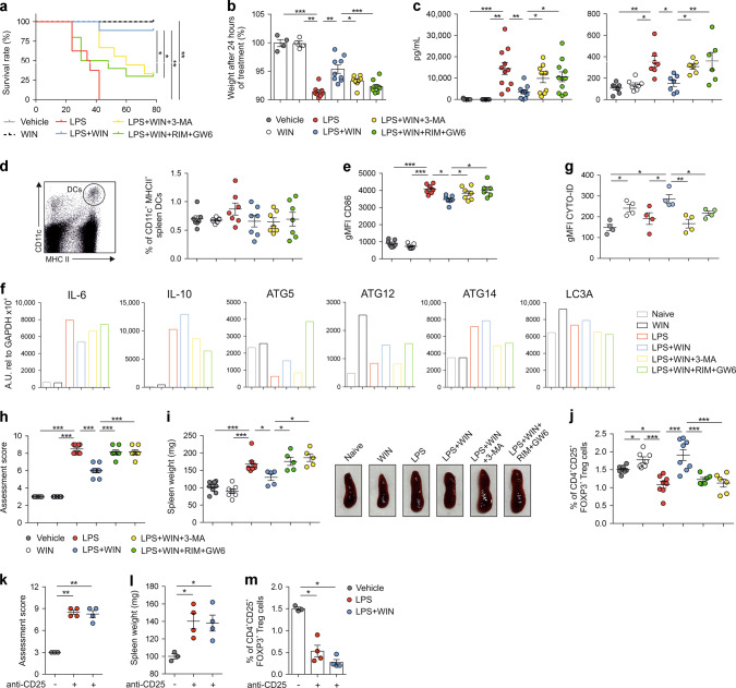 Cannabinoids protect against LPS-induced sepsis in BALB/c mice.a Survival rate of mice treated with WIN55212-2 (WIN, 5 mg/kg), LPS (20 mg/kg), LPS/WIN55212-2 and LPS/WIN55212-2 in the presence of the autophagy inhibitor 3-MA (15 mg/kg) or CB1 (Rimonabant (RIM), 5 mg/kg) and PPARα (GW6471 (GW6), 5 mg/kg) antagonists monitored for 78 h (n = 10 of two independent experiments). b Body weight after 24 h of the indicated treatment (n = 4–9 of two independent experiments). c Serum and bronchoalveolar lavage fluid (BALF) IL-6 levels after 16 h of the indicated treatment (n = 6–11 of two independent experiments). d Left, flow cytometry representative dot plots of spleen DCs. Right, percentage of spleen CD11c+ MHCII+ DCs from mice treated with the indicated conditions for 16 h (n = 7–8 of two independent experiments). e Geometric mean fluorescence intensity (gMFI) of CD86 expression in spleen CD11c+ MHCII + DCs from mice treated with the indicated conditions for 16 h. f mRNA expression levels of the cytokines IL-6 and IL-10 and autophagy-related genes ATG5, ATG12, AG14 and LC3A in isolated spleen DCs from mice treated with the indicated conditions. Data were obtained from a pull of spleen DCs from four mice treated with the same stimuli. One representative example of two independent experiments is shown. g gMFI of CYTO-ID green dye in spleen DCs from mice treated with the indicated conditions (n = 4 of two independent experiments). h Assessment score of physical appearance 3 days after the treatment with WIN55212-2 (5 mg/kg), LPS (10 mg/kg), LPS/WIN55212-2 and LPS/WIN55212-2 in the presence of the autophagy inhibitor 3-MA (15 mg/kg) or CB1 (Rimonabant (RIM), 5 mg/kg) and PPARα (GW6471 (GW6) 5 mg/kg) antagonists (n = 7 of two independent experiments). i Left, spleen weight from mice treated with the indicated conditions after 3 days (n = 5–7 of two independent experiments). Right, representative examples of spleen sizes. j Percentage of FOXP3+ Tregs in spleen from mice treated with the indicated stimuli (n = 6–8 of two independent experiments). k Assessment score of physical appearance 3 days after the treatment with LPS (10 mg/kg) and LPS/WIN55212-2 (WIN, 5 mg/kg) in Treg depleted mice with anti-CD25 antibody (n = 4 of one independent experiment). l Spleen weight from Treg depleted mice treated with the indicated conditions after 3 days (n = 4 of one independent experiment). m Percentage of FOXP3+ Tregs in spleen from Treg depleted mice treated with the indicated stimuli (n = 4 of one independent experiment). Values are mean ± SEM. Statistical significance was determined using One-way Anova. *P < 0.05, **P < 0.01, ***P < 0.001.