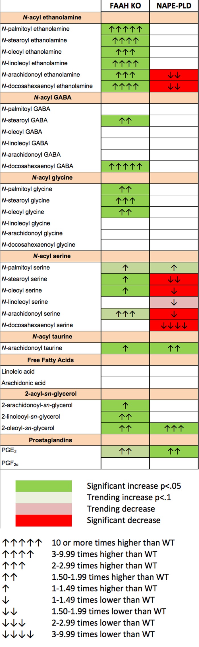 Changes in cannabinoid-related lipid species in the eye of FAAH and NAPE-PLD knockout mice. Changes in lipid species relative to WT. Consistent with expectations, FAAH eyes saw large increases in the NAEs, but also in other lipid species including several N-acyl glycines and the 2-acyl-sn-glycerols, among them 2-AG. In contrast, NAPE-PLD eyes changed more modestly, mostly declining.