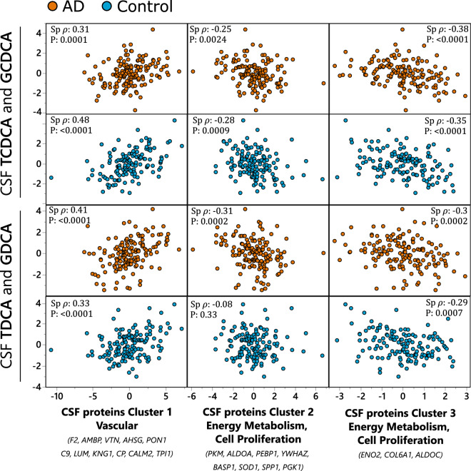 CSF bile acids associations with AD-implicated CSF protein clusters. Most pronounced associations collapsed into variable cluster components with the indicated Spearman’s rank order correlation statistics, including Spearman’s ρ and p-value. Two bile acids clusters were formed: one using GCDCA and TCDCA (upper two panels) and second using TDCA and GDCA (lower two panels). CSF proteins were organized into three clusters (Table S5): Cluster 1—containing mostly vascular proteins, with F2, AMBP and VTN as most representative members with R2 > 0.8; Cluster 2—containing proteins involved in energy metabolism and cell proliferation, with PKM, ALDOA and PEBP1 as most representative members with R2 > 0.7; Cluster 3 containing glycolysis regulating ENO2 and cell proliferation regulating COL6A1 and glycolytic enzyme ALDOC. Analysis was performed separately for AD cases and healthy controls and the two groups are indicated on the graph by colors: blue—healthy control; orange—AD cases. N for AD cases = 151; healthy controls = 142.