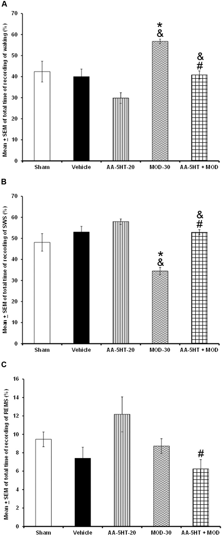Effects on total time of W, SWS, and REMS after experimental trials: Sham, vehicle, AA-5-HT (20 mg/Kg; i.p.), modafinil (MOD, 30 mg/Kg; i.p.) or AA-5-HT (20 mg/Kg; i.p.) and 15 min MOD (30 mg/Kg; i.p.). AA-5-HT caused no statistical difference in waking, SWS and REMS if injected at the beginning of the lights-on period. However, the administration of MOD (30 mg/Kg; i.p.) increased W and decreased SWS. No statistical changes were observed in REMS in MOD-treated animals. Interestingly, administration of AA-5-HT 15 min before the injection of MOD prevented the enhancement in waking as well as the diminution in SWS. Despite that MOD induced no effects in REMS, combination of AA-5-HT + MOD decreased REMS (A–C, respectively) induced by the stimulant (Mean ± SEM ∗ vs. Sham/Vehicle, P < 0.05; & vs. AA-5-HT-20, P < 0.05; # vs. MOD-30, P < 0.05). Abbreviations: Modafinil 30 mg/Kg, i.p. (MOD-30), AA-5-HT-20 mg/Kg (AA-5-HT-20).