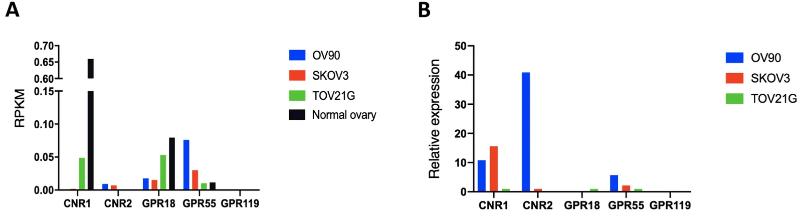 Expression of cannabinoid receptors in normal ovarian tissue and EOC cell lines. (A) RNA-seq data gathered from GTEx (n = 180) and CCLE. (B) Expression as analyzed by RT-qPCR of untreated cells, relative to GAPDH expression. Results are normalized to the cell line with the lowest expression of that gene. Experiments were carried out in triplicate (n = 3).