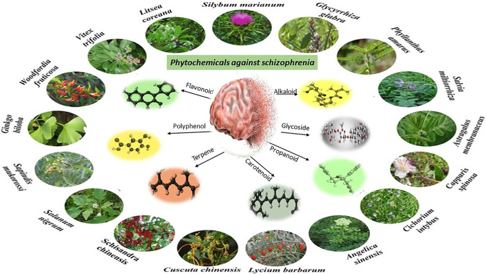 Phytochemical classes effective against Schizophrenia.