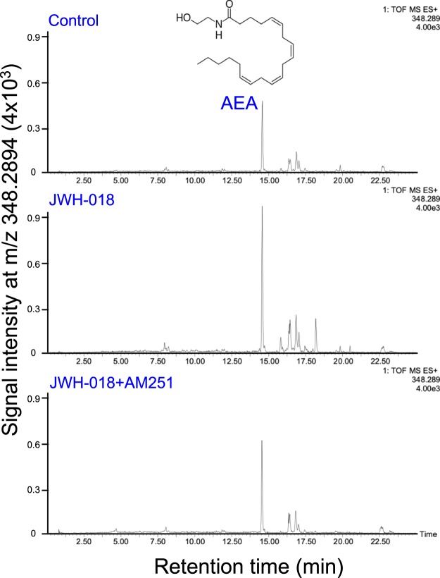 Selected ion monitoring of AEA in the hippocampus of C57BL/6J mouse. Selected ion monitoring at m/z 348.2895 for the determination of the hippocampus content of AEA. The retention time for AEA was 14.54 min. (A) Control hippocampus extract; (B) hippocampus extract from JWH-018-treated mice; (C) hippocampus extract from JWH-018- and AM251-treated mice. One of the representative data of each group is shown.